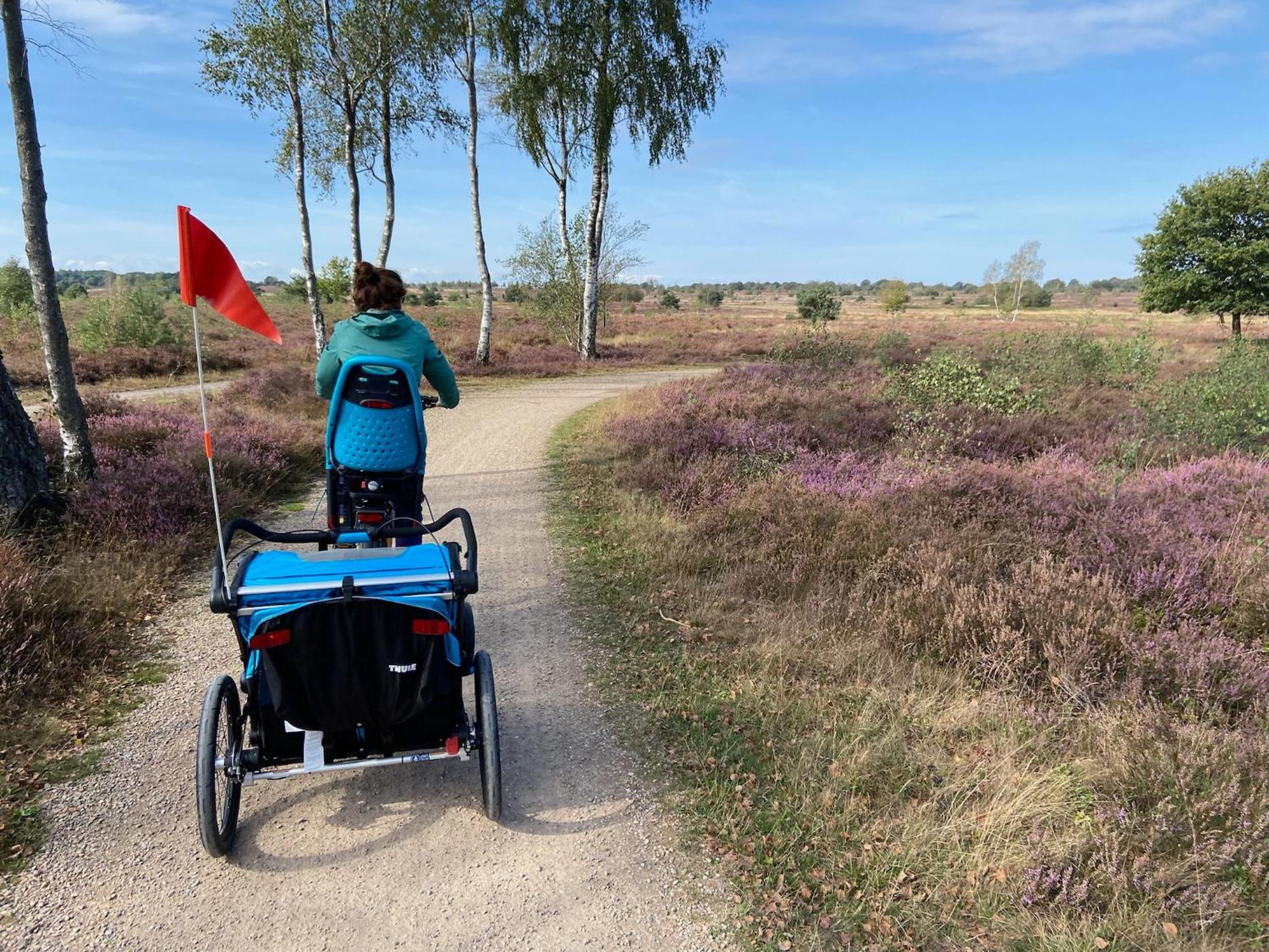 Vakantiehuis Vliegend Hert Veluwe ヌンスペート エクステリア 写真