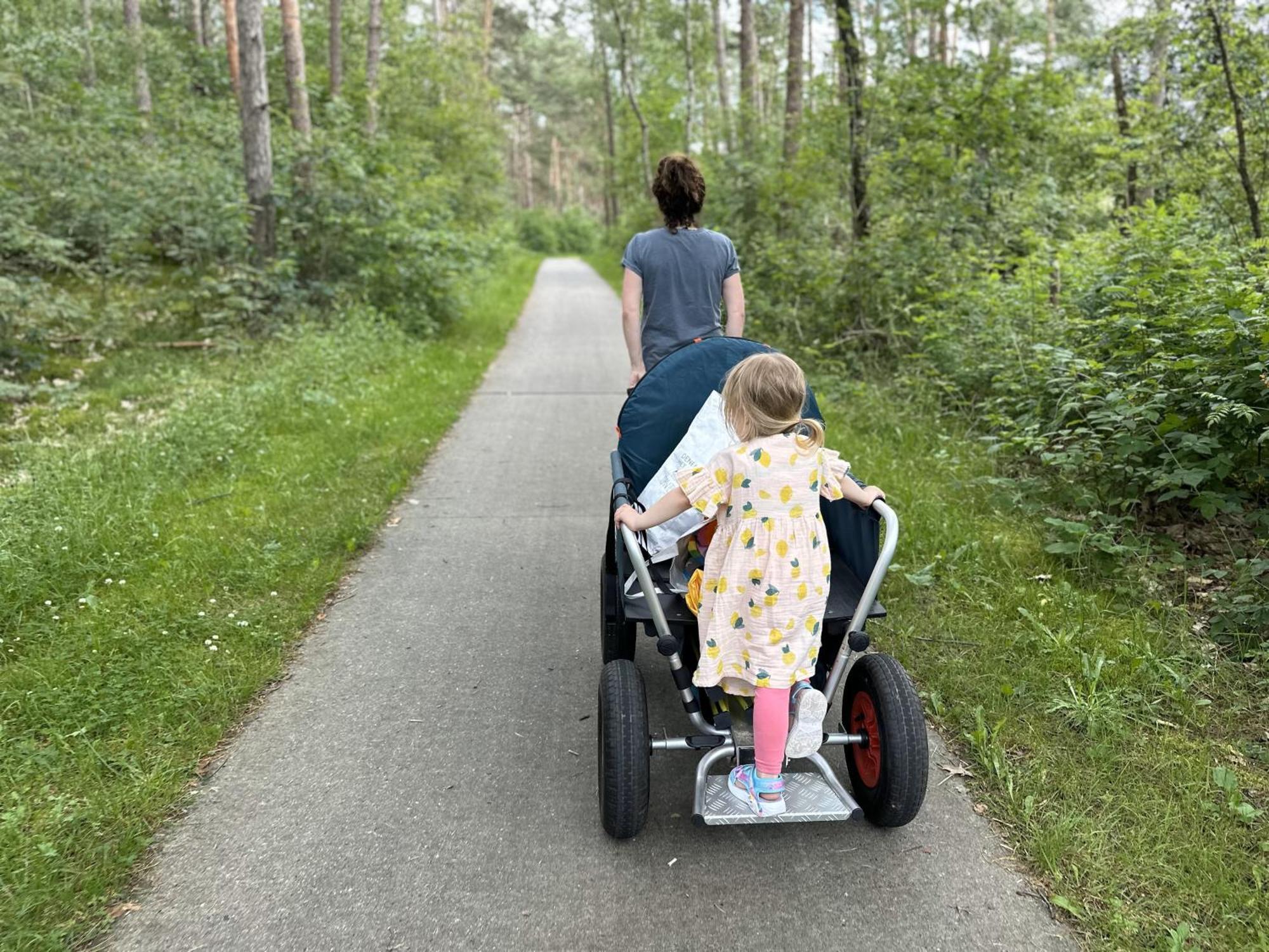 Vakantiehuis Vliegend Hert Veluwe ヌンスペート エクステリア 写真