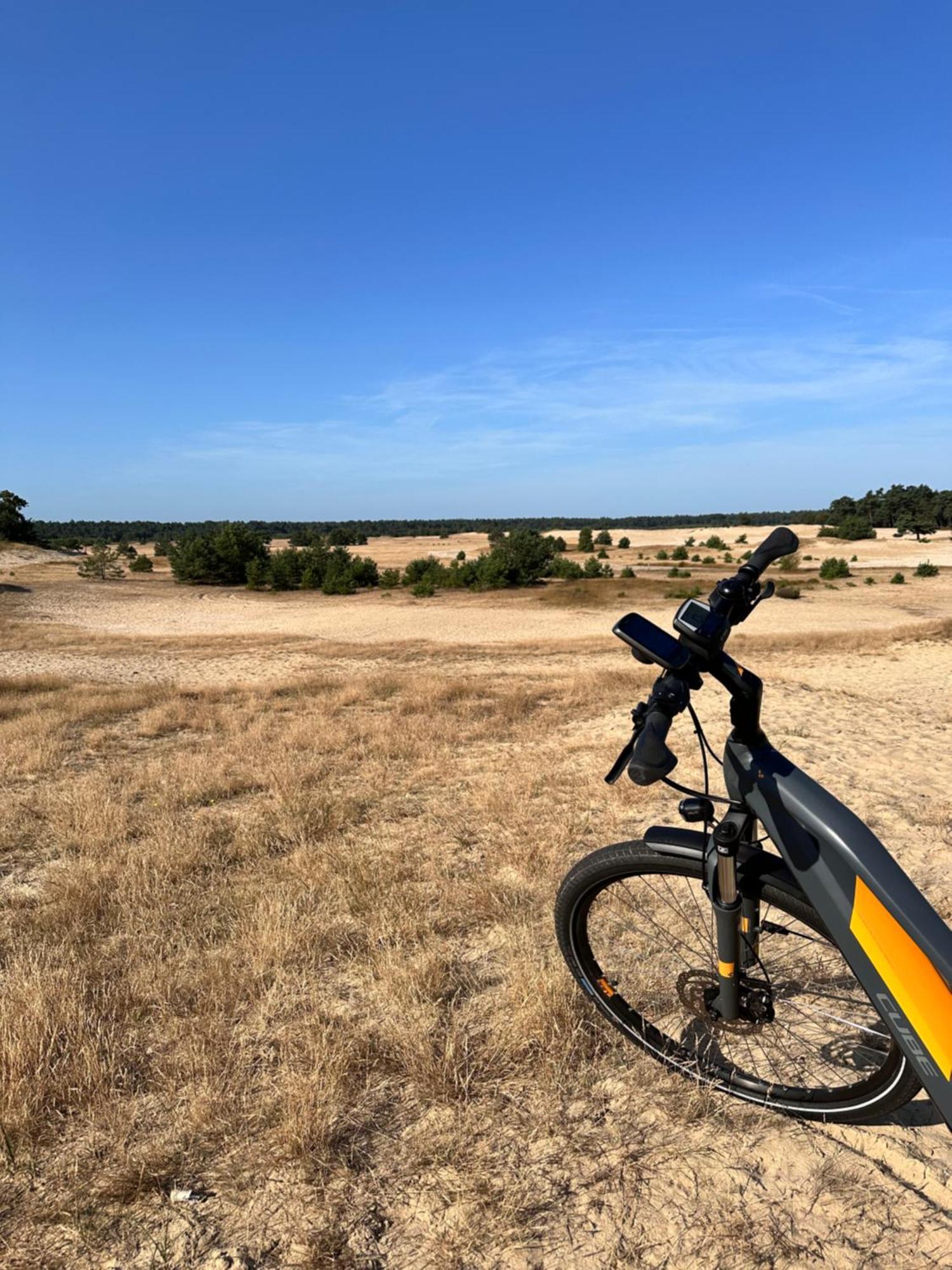 Vakantiehuis Vliegend Hert Veluwe ヌンスペート エクステリア 写真